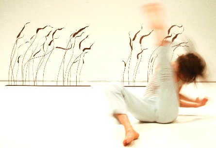 Arkadi Zaides's "Solo Colores"